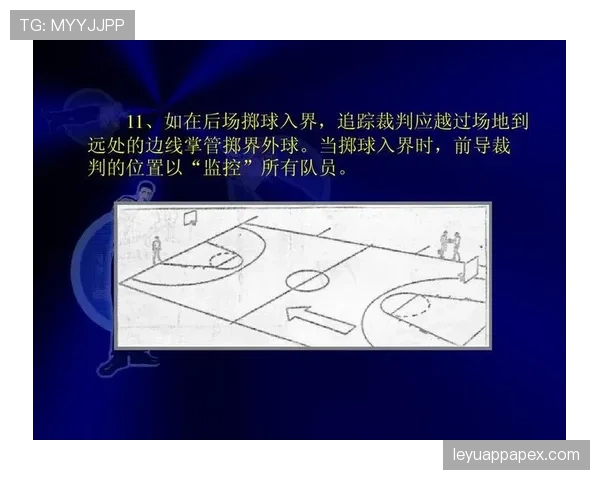 掷界外球规则详解及裁判判罚的关键标准